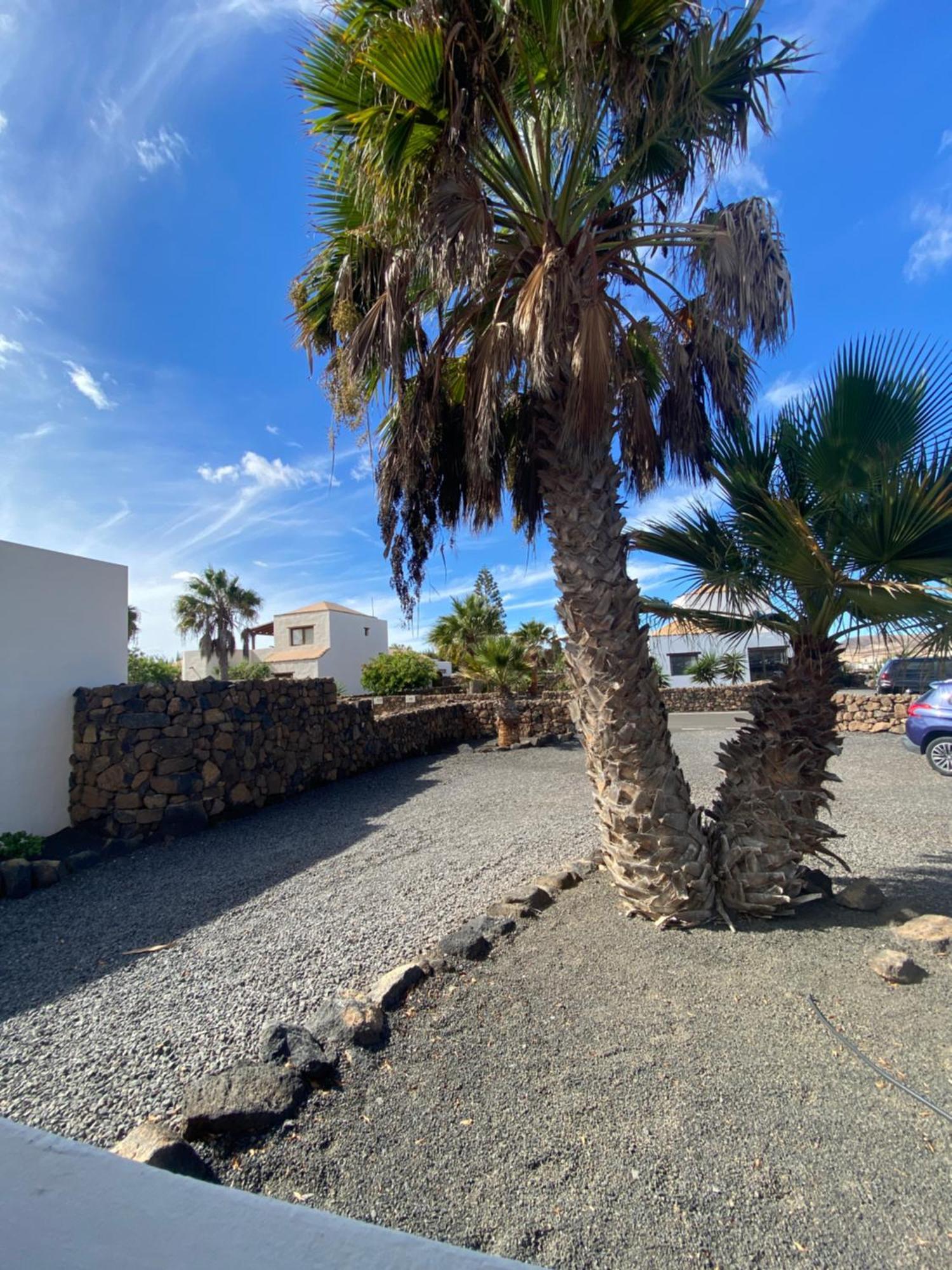 Villa De Suenos لاجاريس المظهر الخارجي الصورة